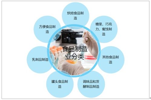 中国食品制造产业2021-2027年发展态势与资本布局策略分析报告